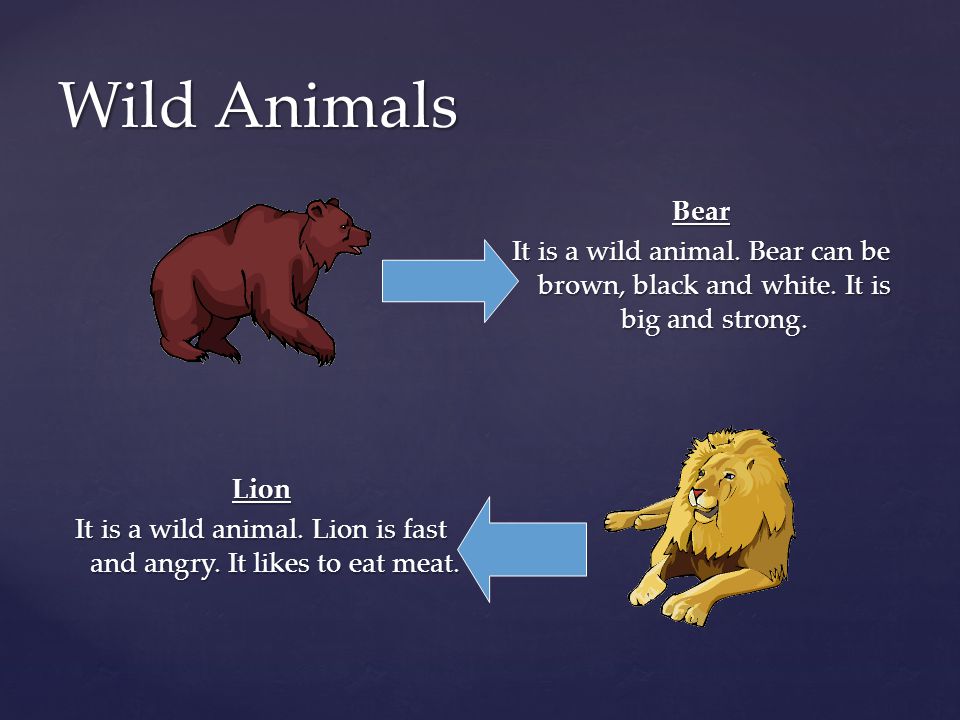 Wild and Domestic Animals - ppt video online download