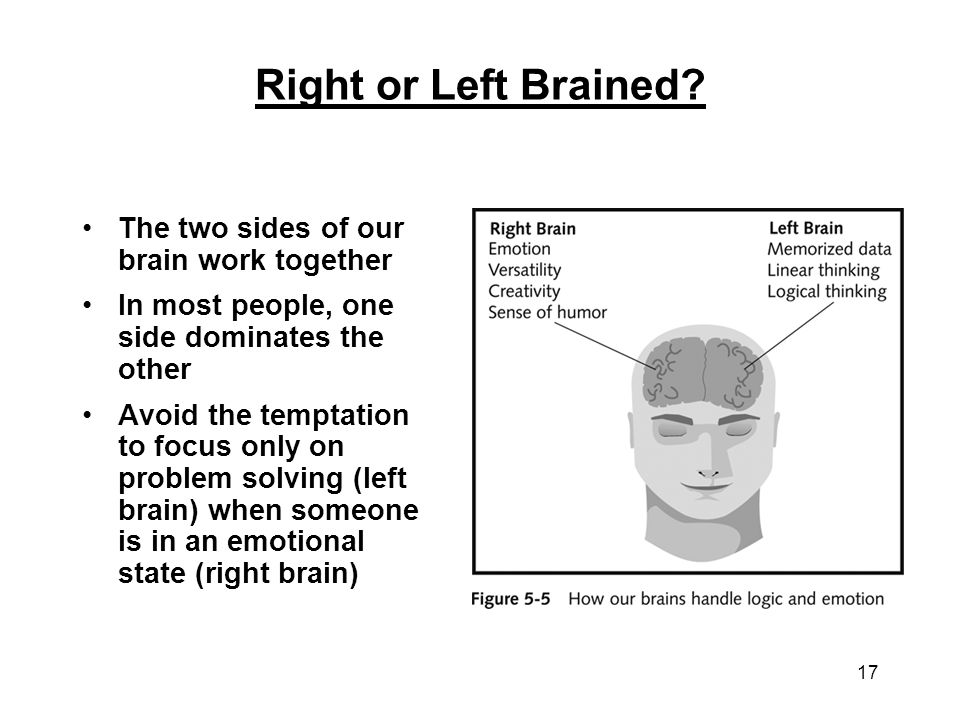 Right or Left Brained The two sides of our brain work together