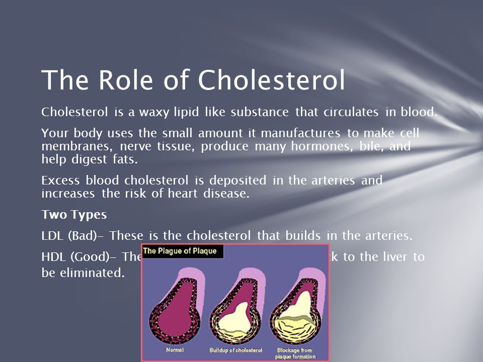 The Role of Cholesterol