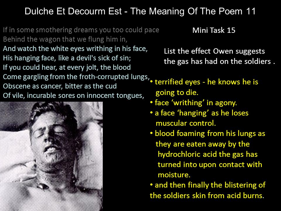 Dulche Et Decourm Est - The Meaning Of The Poem 11