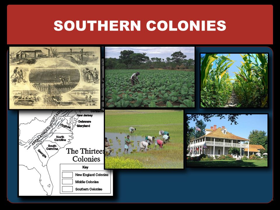 SOUTHERN COLONIES