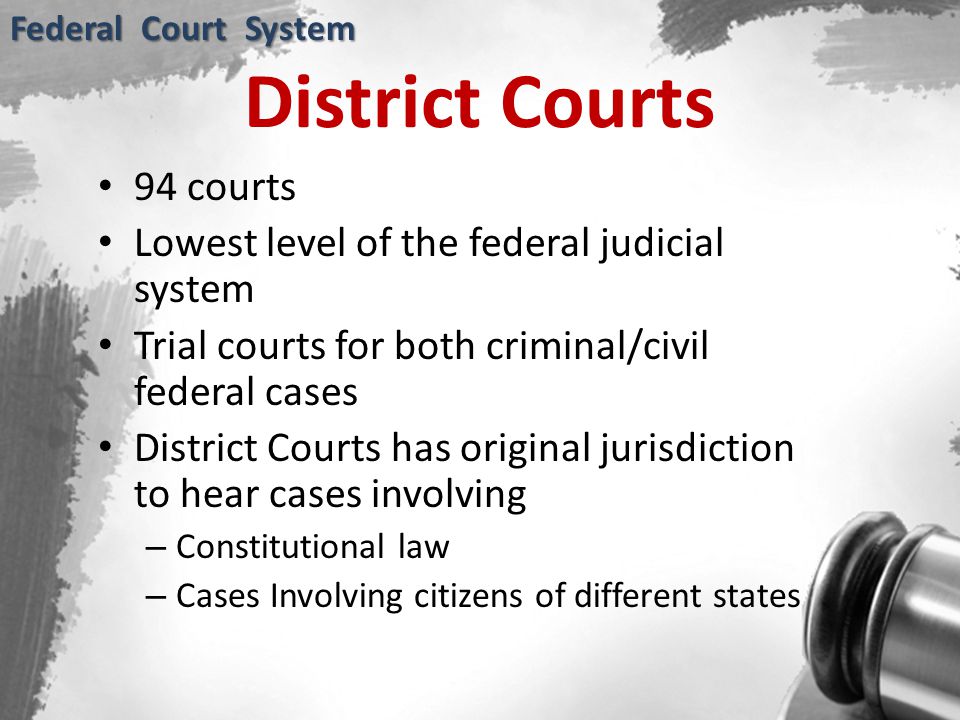 District Courts 94 courts Lowest level of the federal judicial system