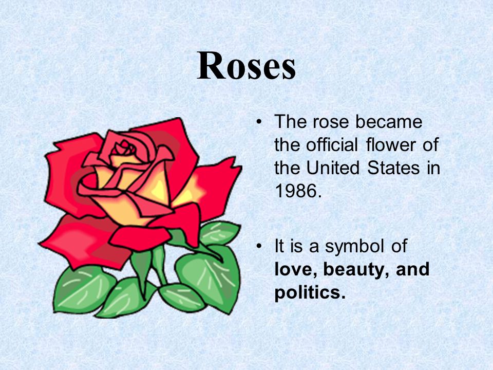 Roses The rose became the official flower of the United States in 1986.