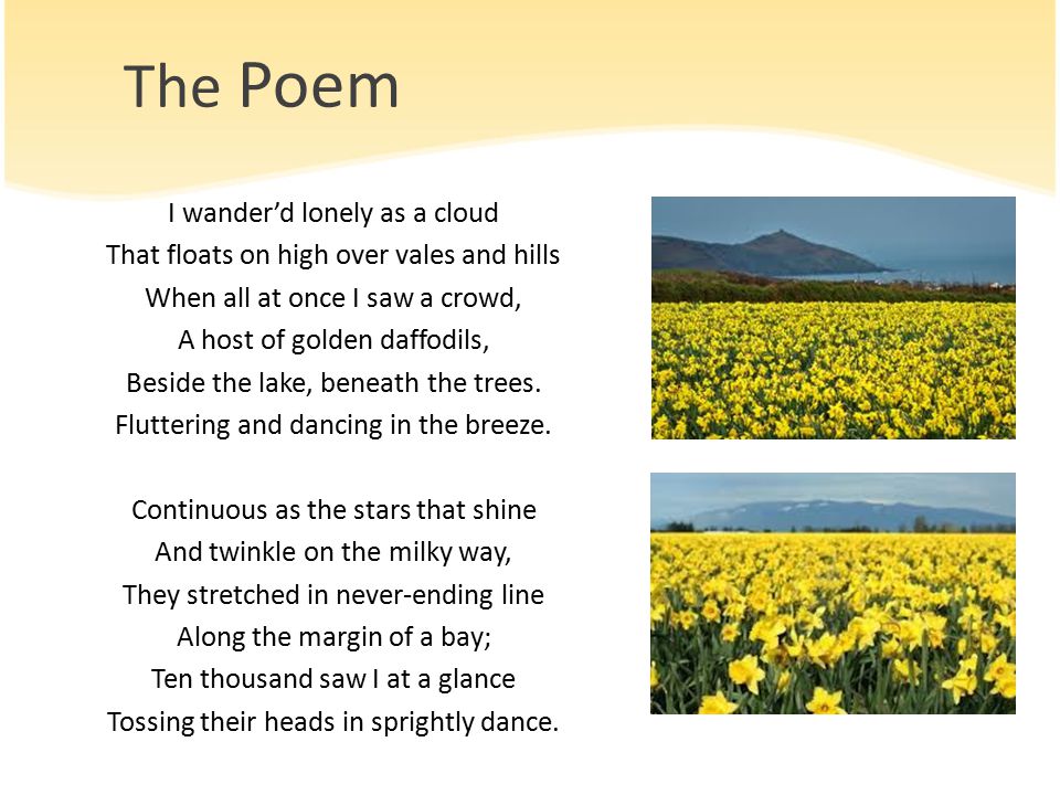 Poem: The Daffodils English, 9th Grade. - ppt video online download