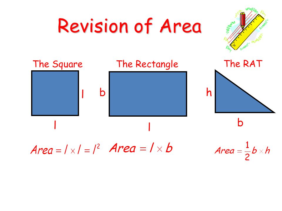 Revision of Area The Square The Rectangle The RAT b h l b l l