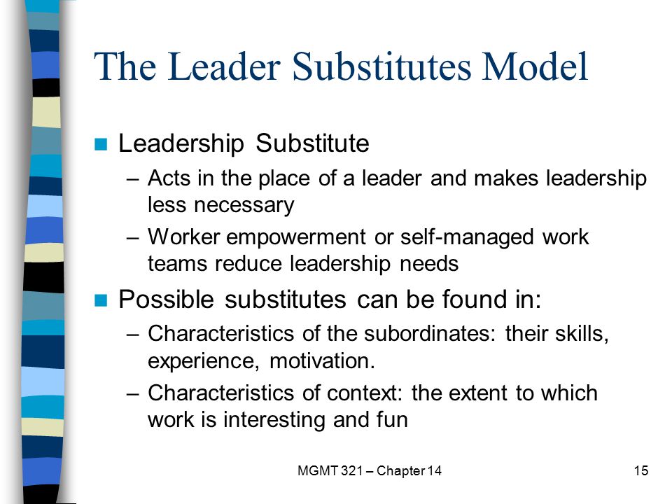 The Leader Substitutes Model