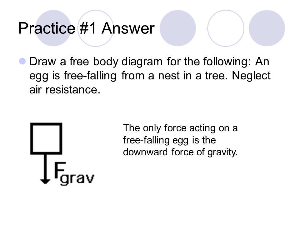 Practice #1 Answer Draw a free body diagram for the following: An egg is free-falling from a nest in a tree. Neglect air resistance.