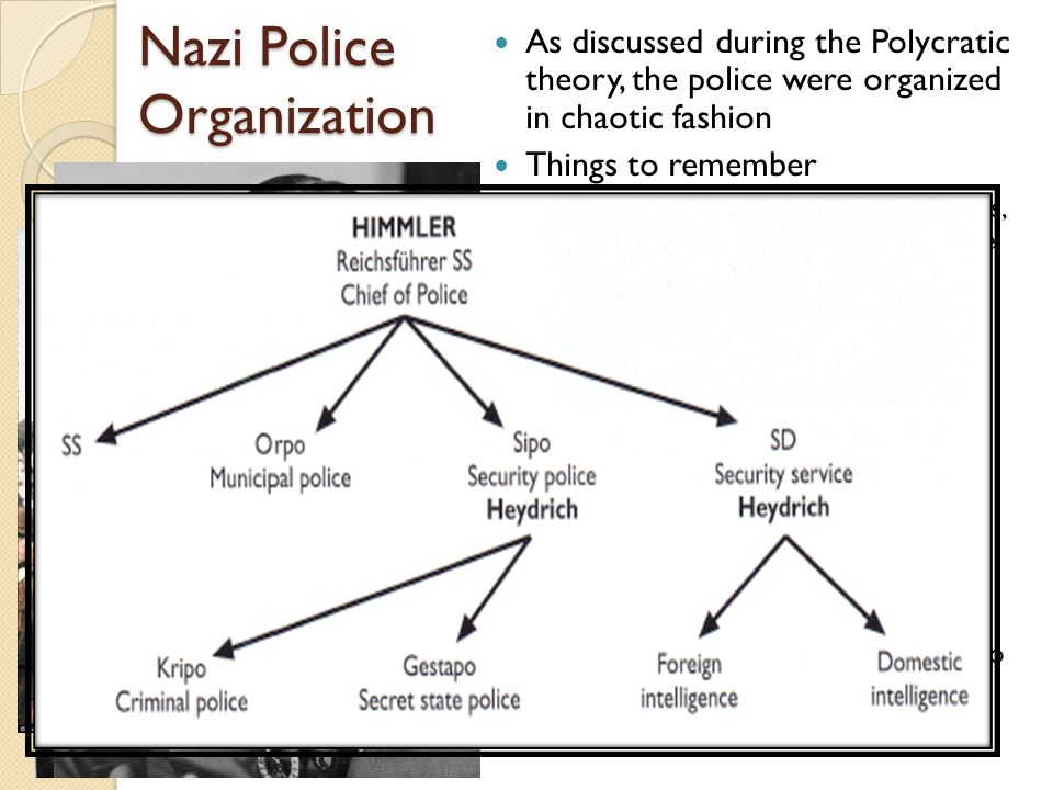 Nazi Police Organization