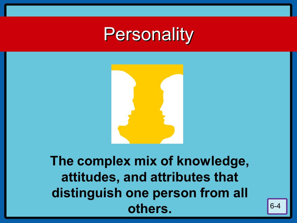 Personality The complex mix of knowledge, attitudes, and attributes that distinguish one person from all others.