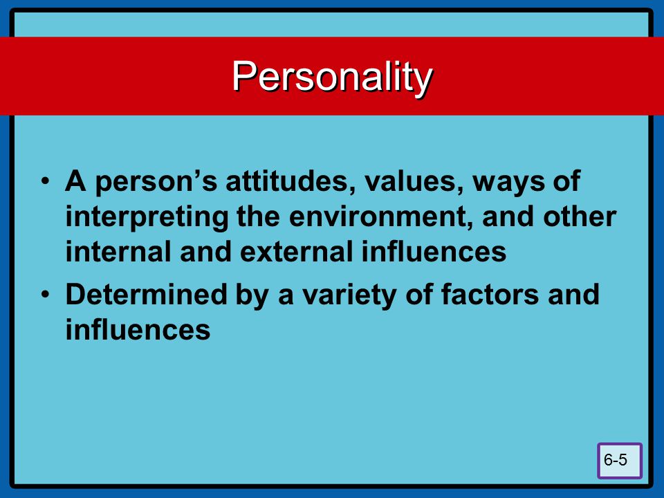 Personality A person’s attitudes, values, ways of interpreting the environment, and other internal and external influences.