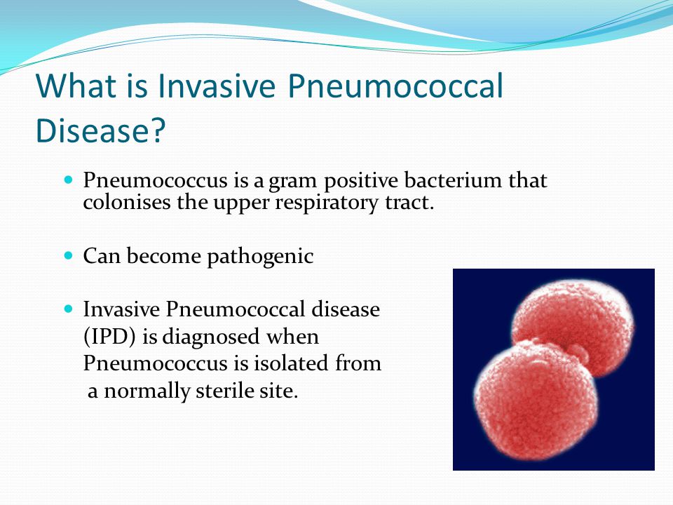 What is Invasive Pneumococcal Disease