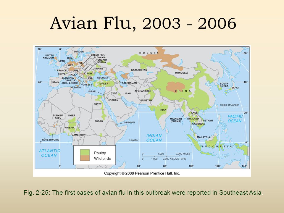 Avian Flu, Fig.