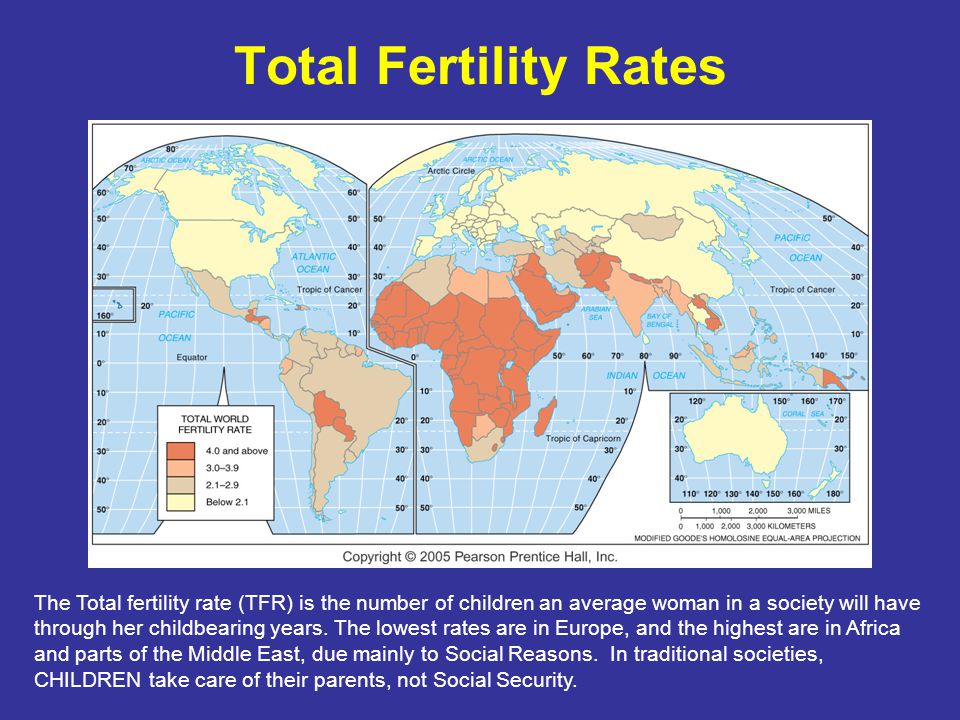 Total Fertility Rates