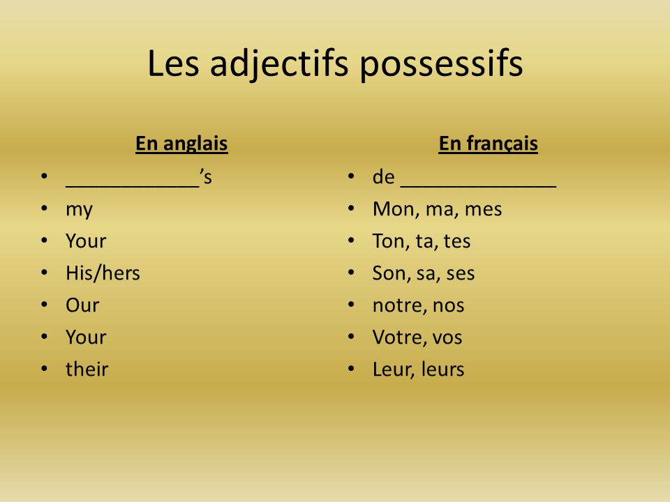 Les adjectifs possessifs - ppt download