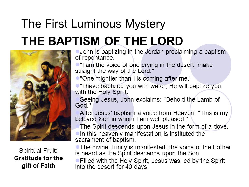 luminous mysteries fruits