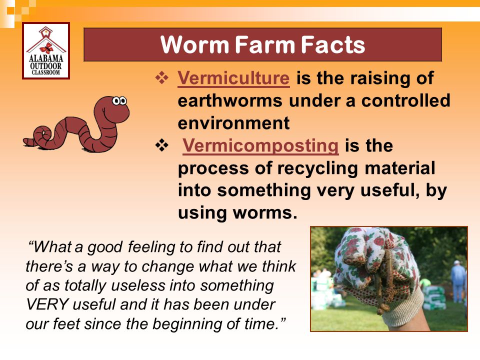 4/13/2017 Worm Farm Facts. Vermiculture is the raising of earthworms under a controlled environment.