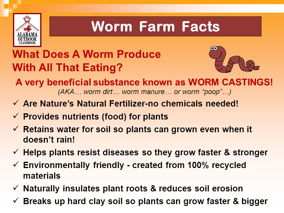 Worm Farm Facts What Does A Worm Produce With All That Eating