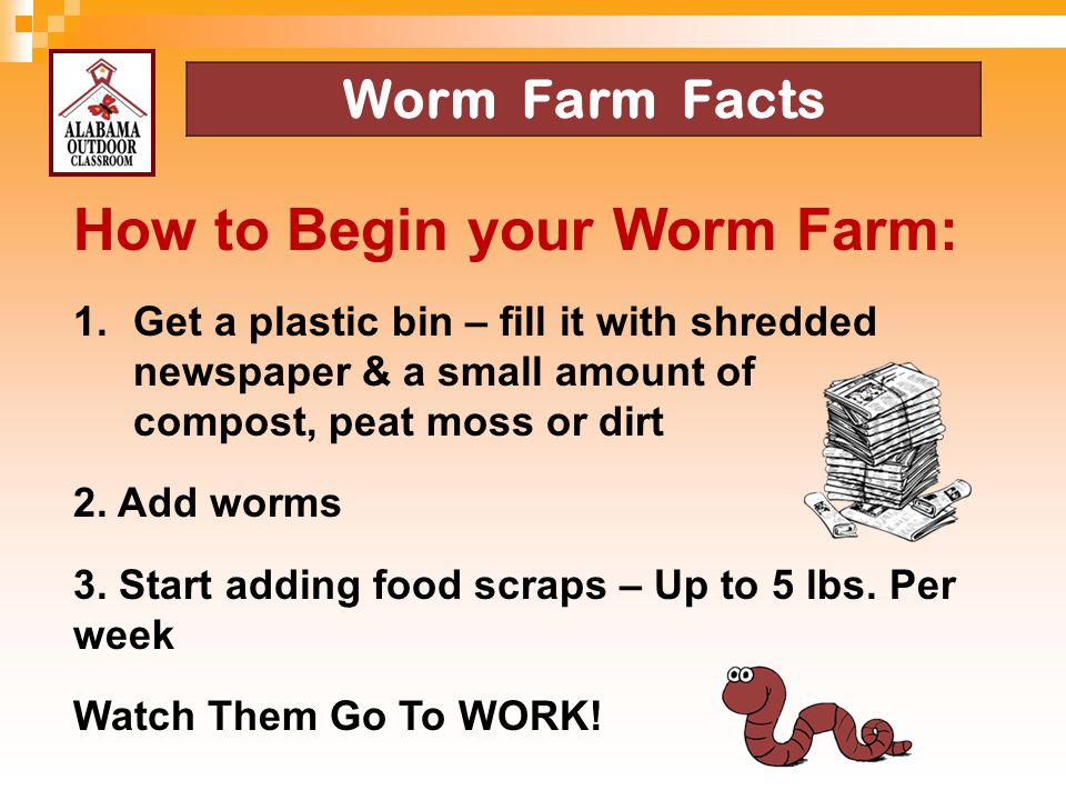 How to Begin your Worm Farm: