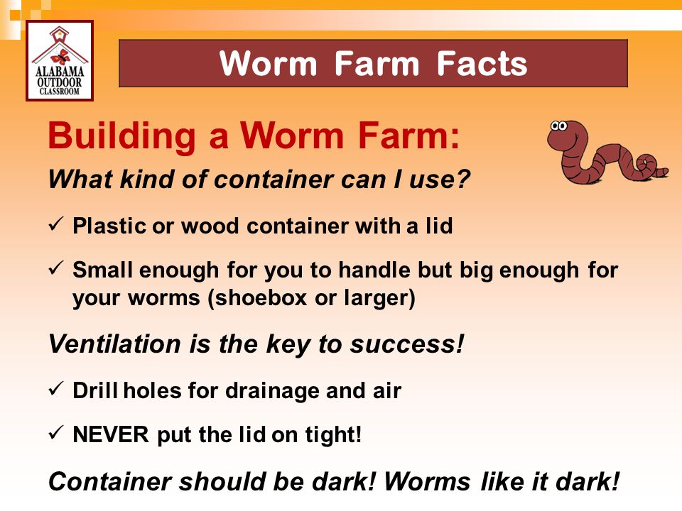 Building a Worm Farm: Worm Farm Facts