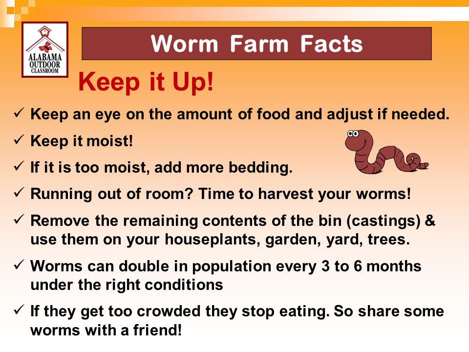 Keep it Up! Worm Farm Facts