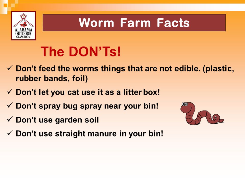 The DON’Ts! Worm Farm Facts