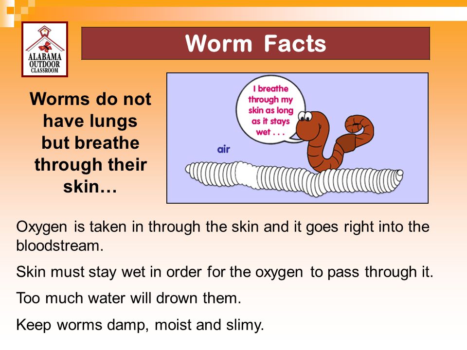 Worms do not have lungs but breathe through their skin…