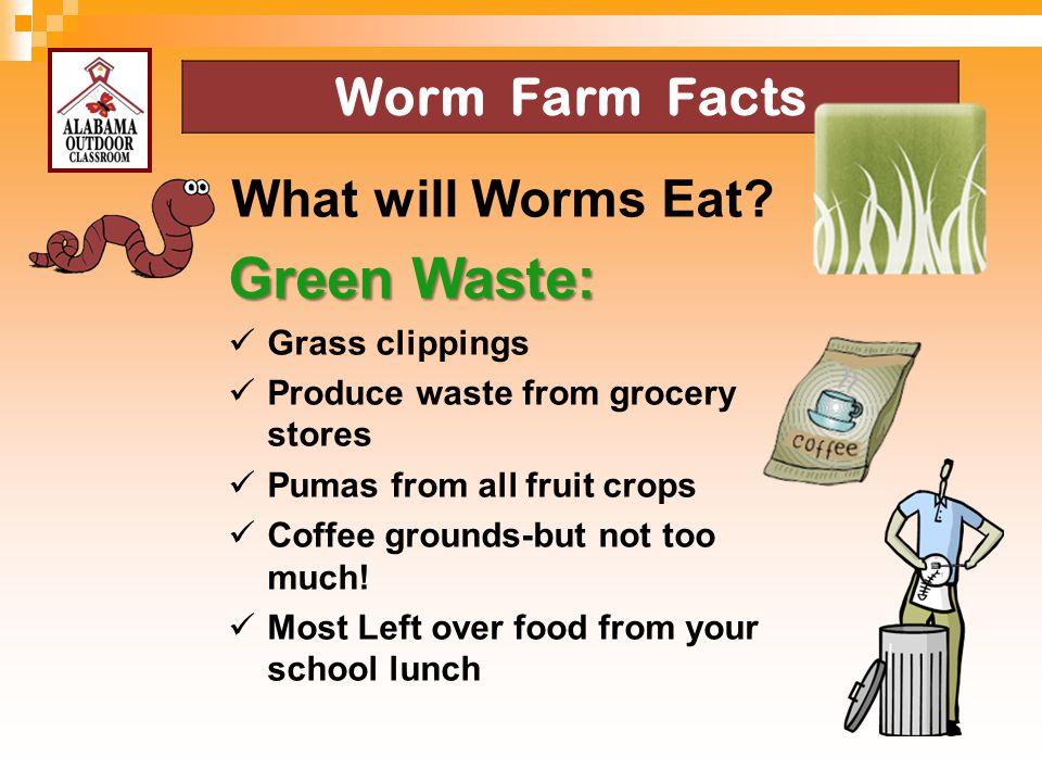Green Waste: Worm Farm Facts What will Worms Eat Grass clippings