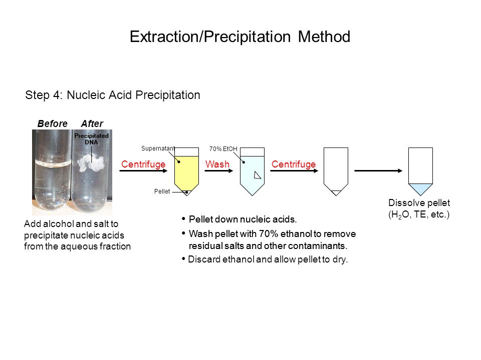 Extraction на русском. Fractional precipitation method. Extraction Homogenizer ПЦР. Fractional precipitation method зщньук. Extraction method.