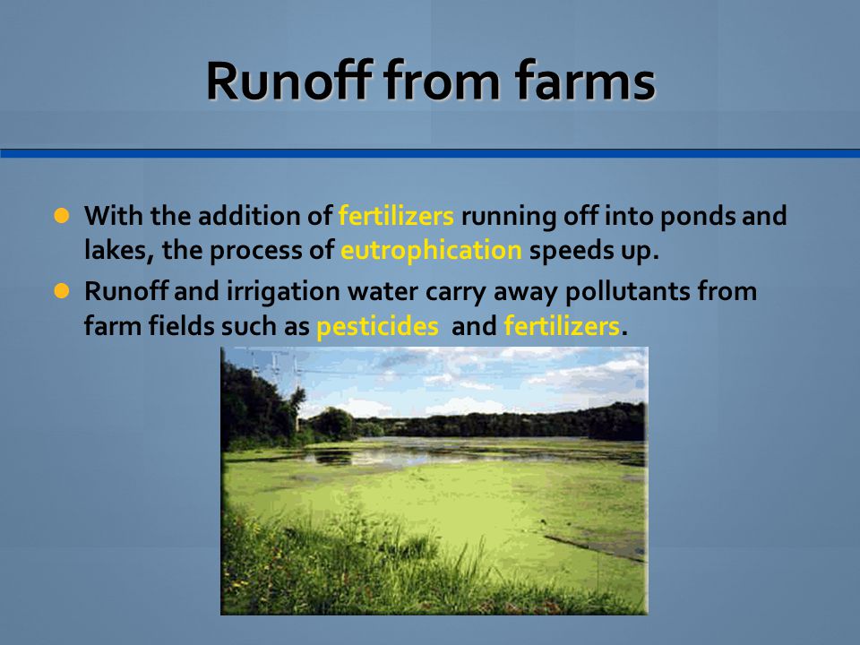 Runoff from farms With the addition of fertilizers running off into ponds and lakes, the process of eutrophication speeds up.