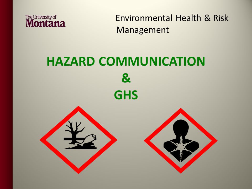 Health risks. GHS расширение. Значок опасности в POWERPOINT. Индекса GHS. Occupational Hazard safe positioning.