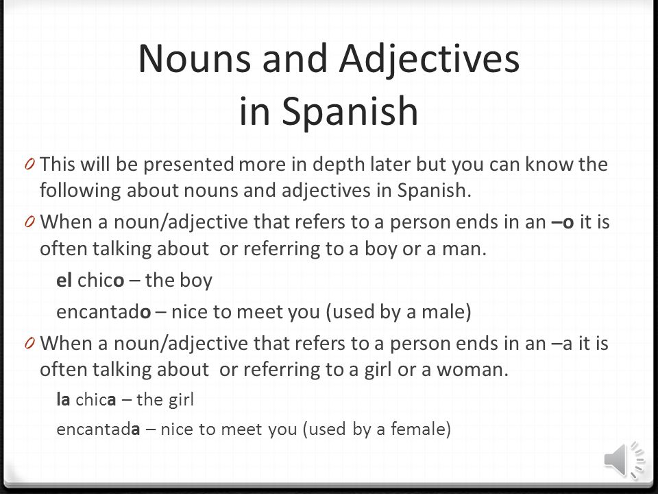 Nouns and Adjectives in Spanish
