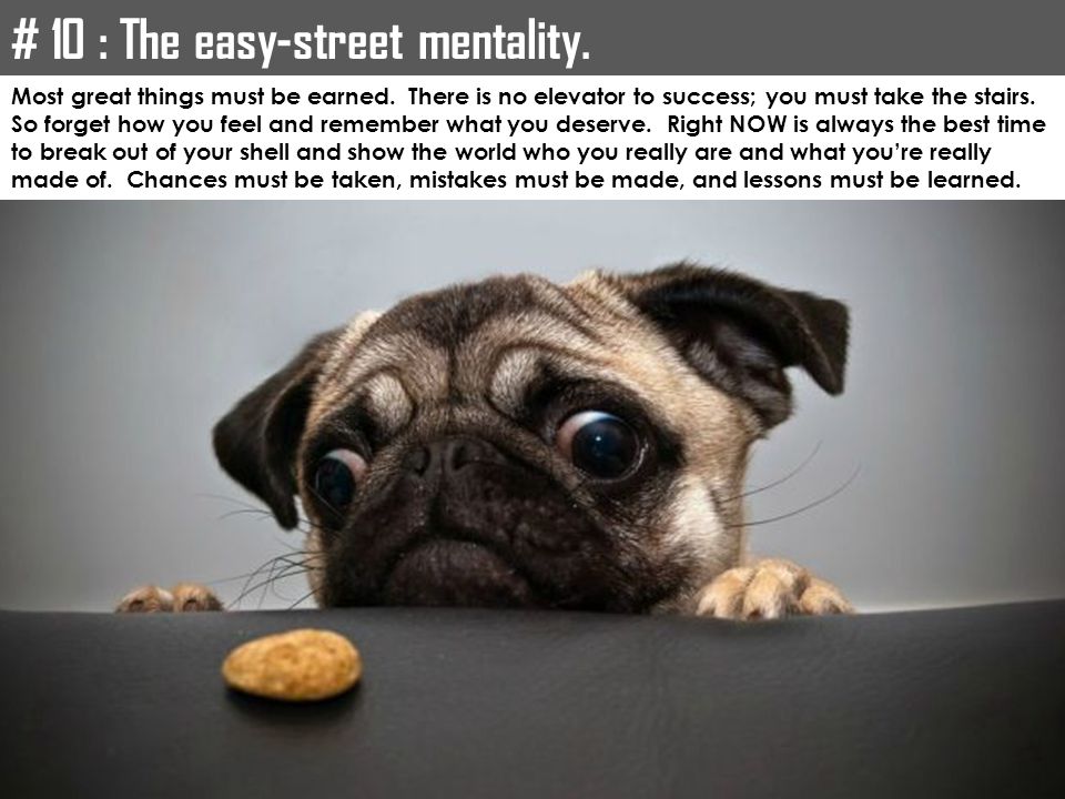 # 10 : The easy-street mentality.