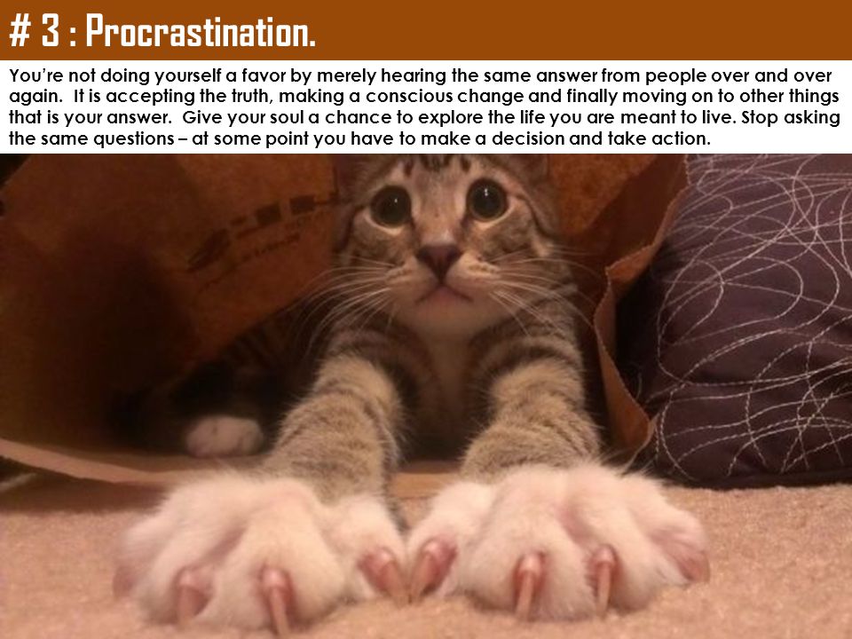 # 3 : Procrastination. You’re not doing yourself a favor by merely hearing the same answer from people over and over.