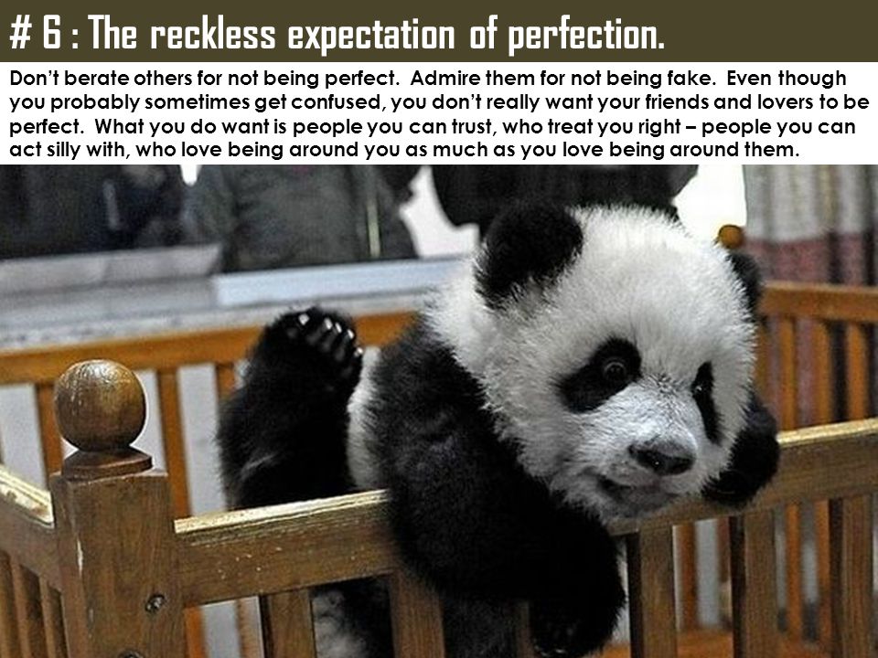 # 6 : The reckless expectation of perfection.