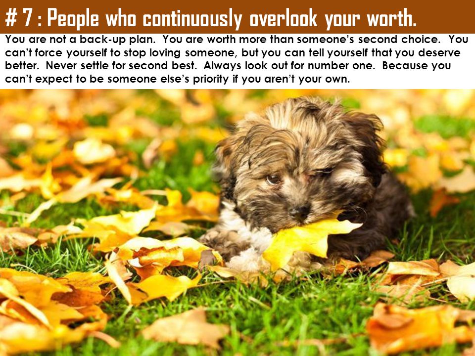# 7 : People who continuously overlook your worth.
