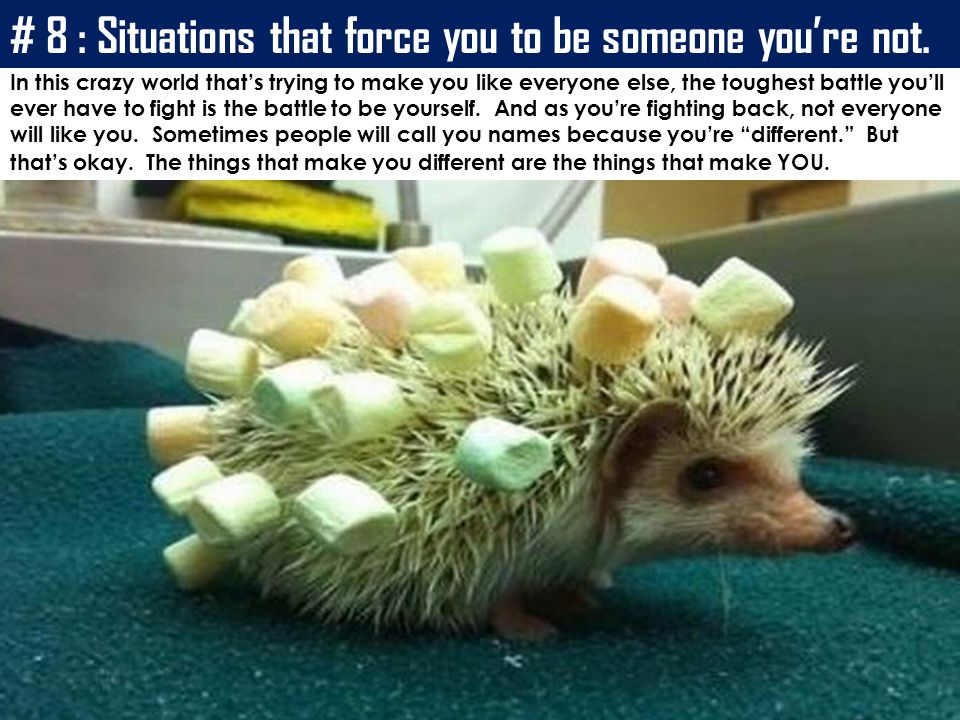 # 8 : Situations that force you to be someone you’re not.