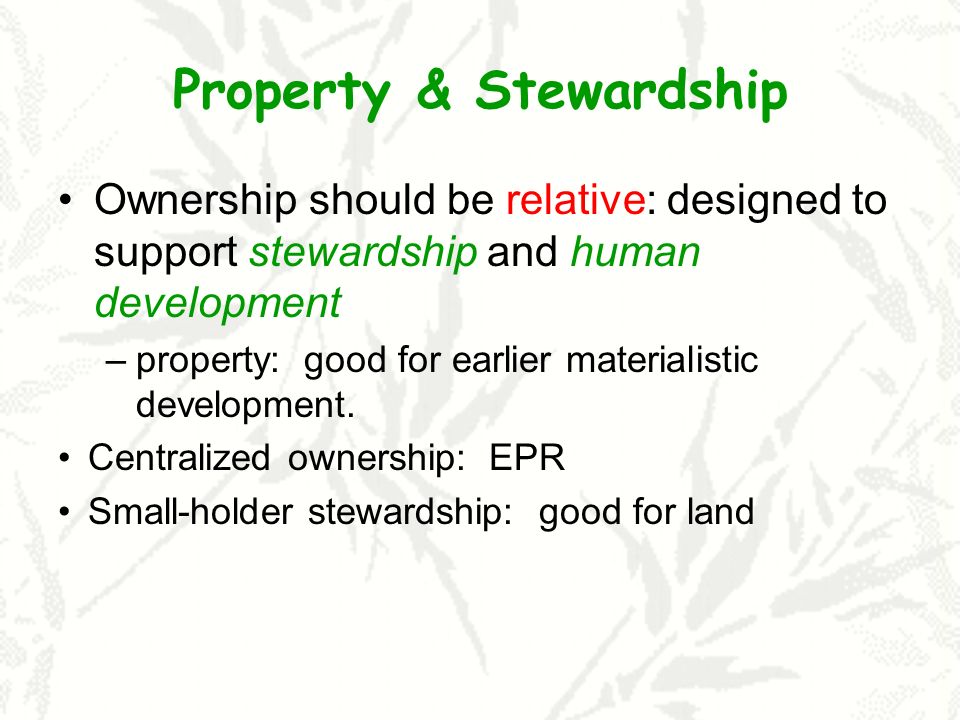 Property & Stewardship