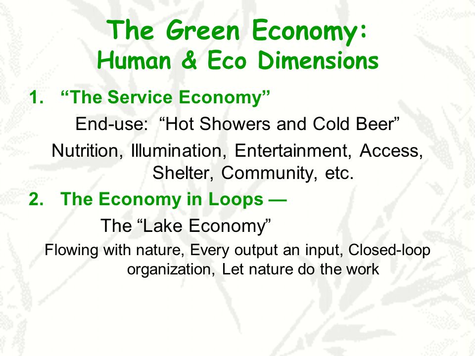 The Green Economy: Human & Eco Dimensions