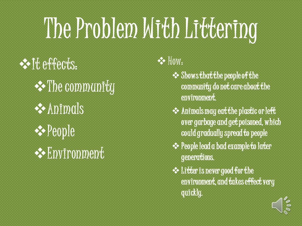 How Litter Effects Our World Ppt Video Online Download