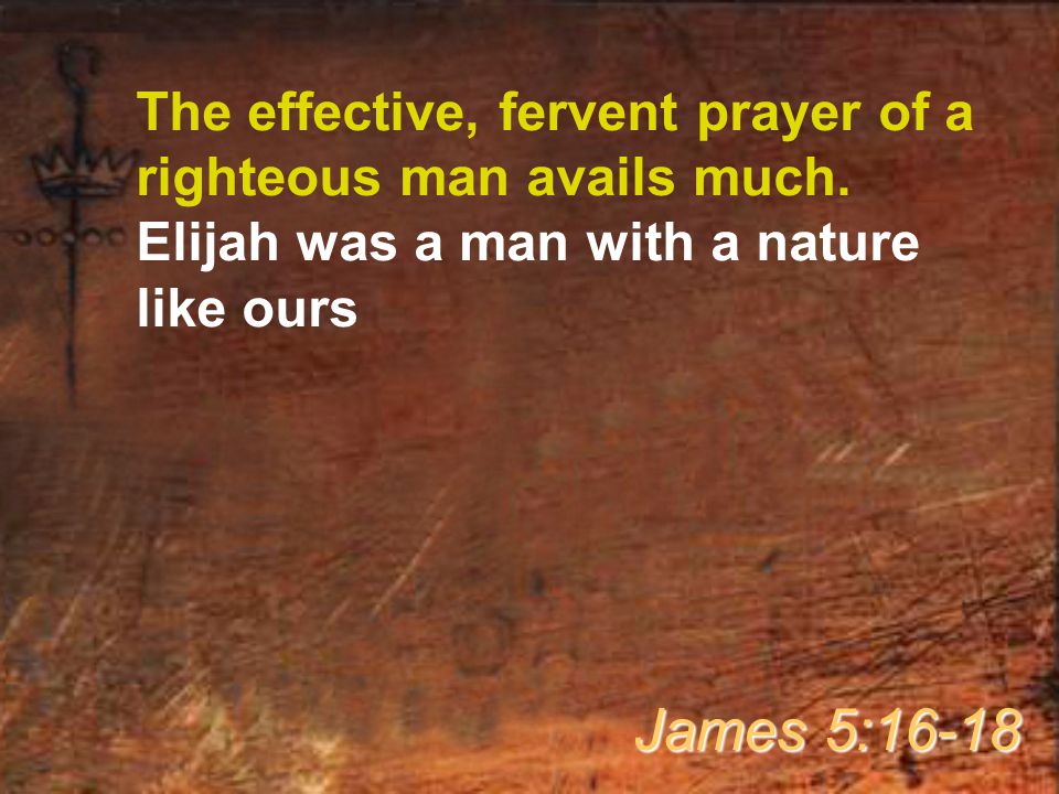 The effective, fervent prayer of a righteous man avails much