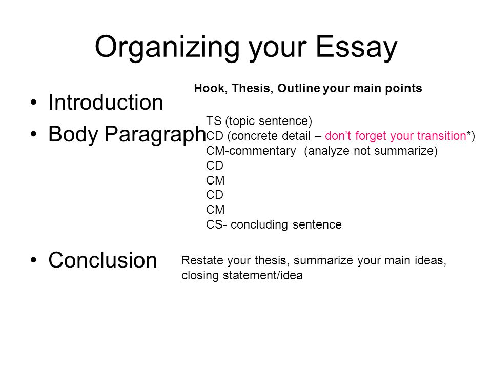 Organizing your Essay Introduction Body Paragraph Conclusion