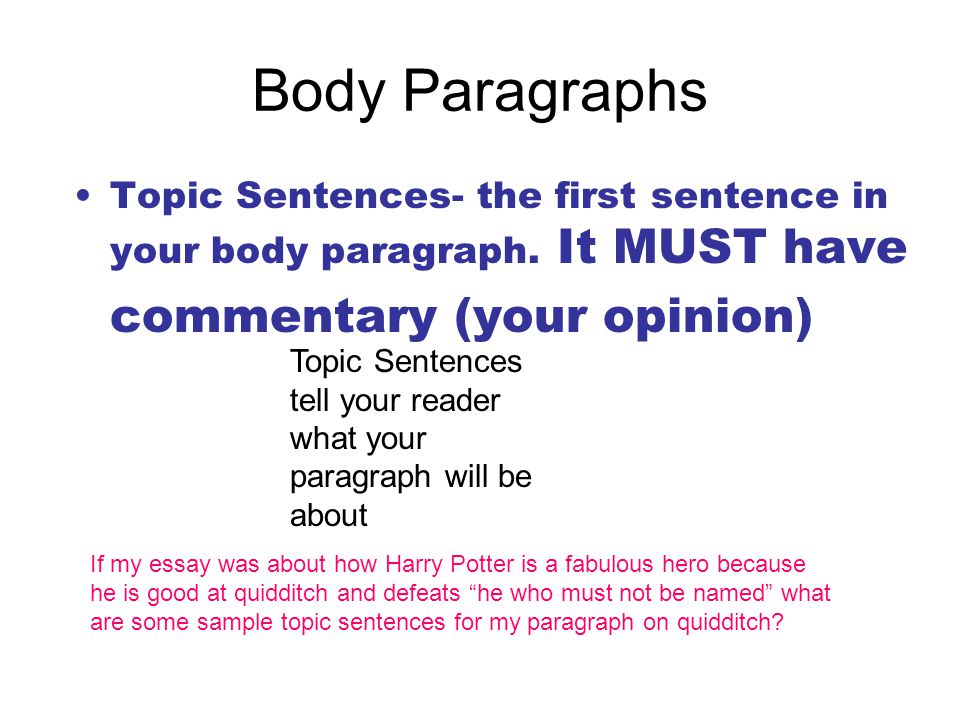 Body Paragraphs commentary (your opinion)