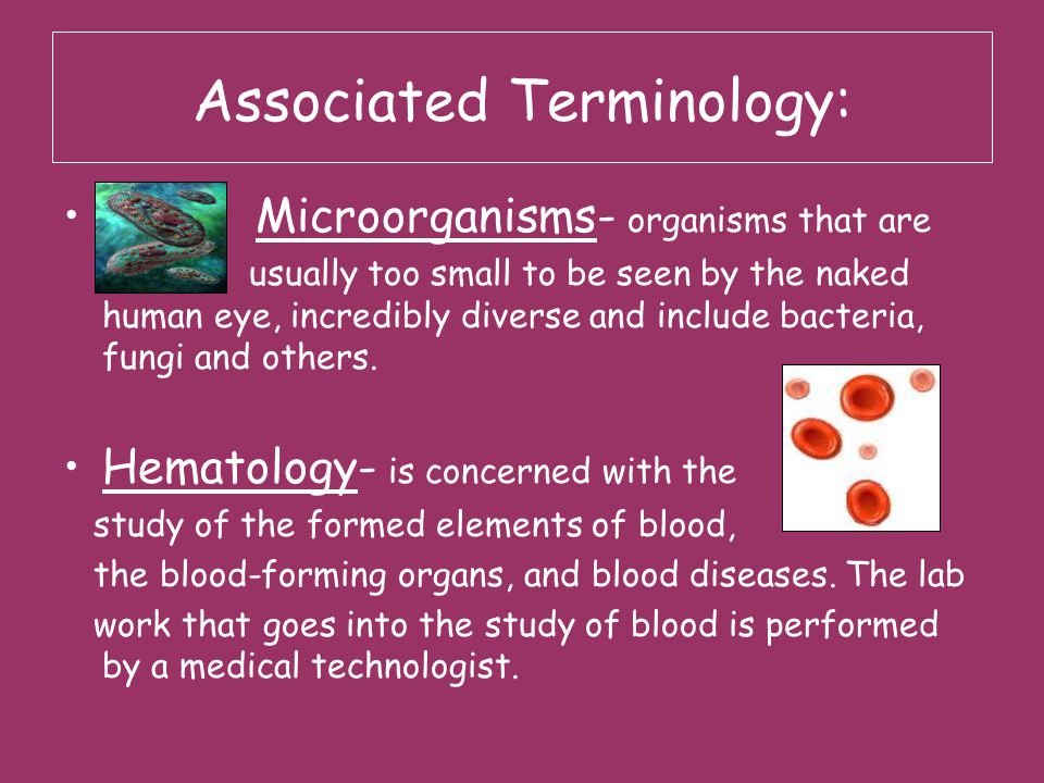 Associated Terminology: