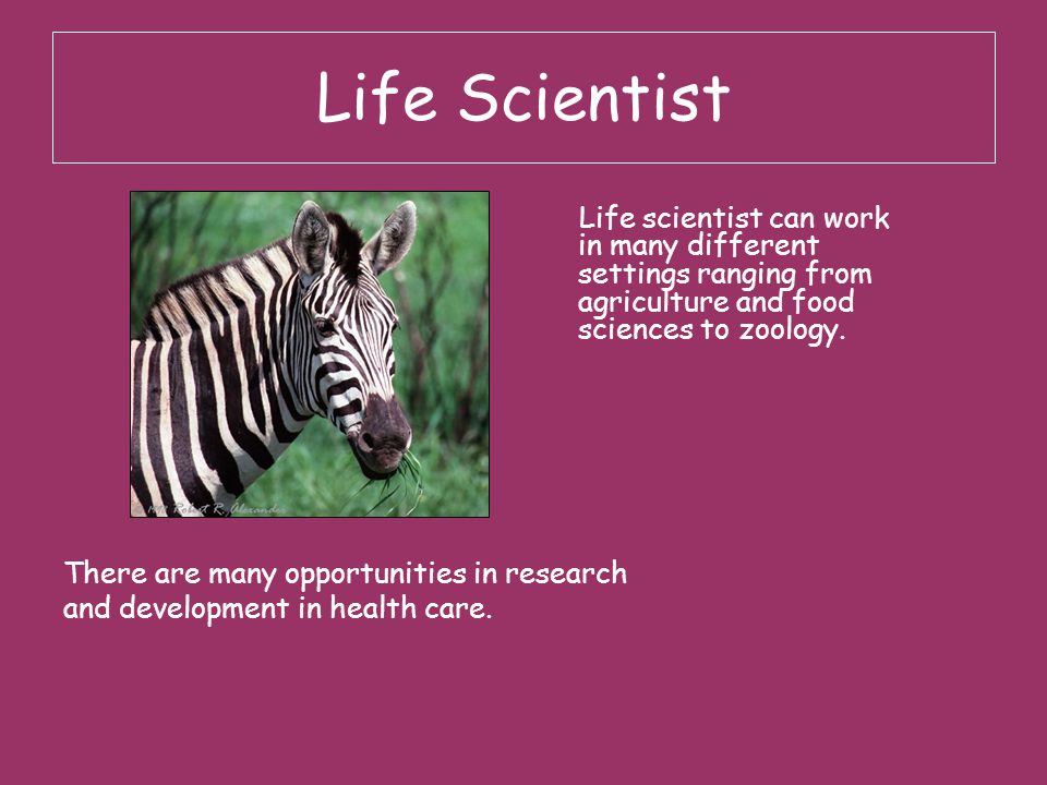 Life Scientist There are many opportunities in research