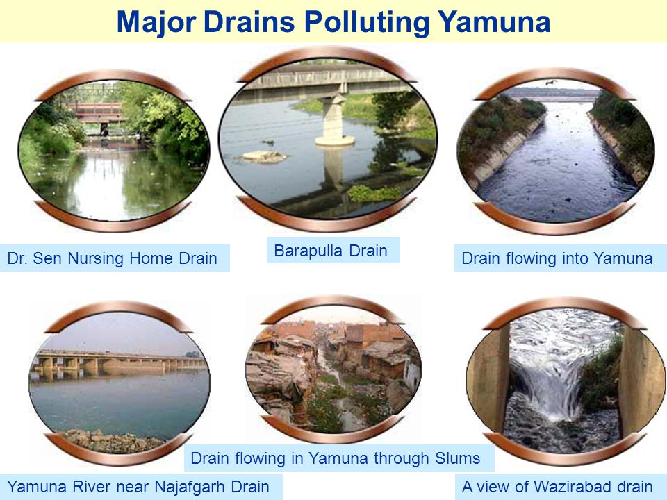 causes of yamuna pollution