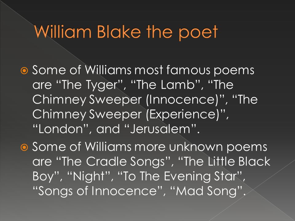 summary of poem the tyger by william blake
