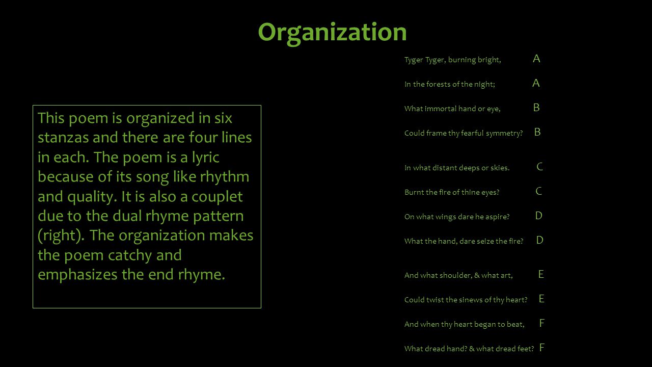 The Tyger By William Blake Ppt Download