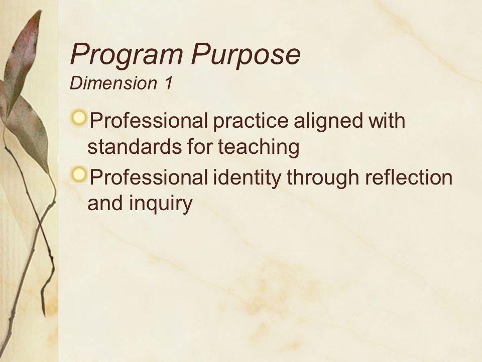 Program Purpose Dimension 1