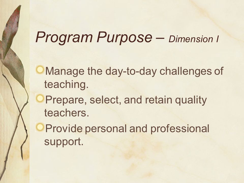 Program Purpose – Dimension I