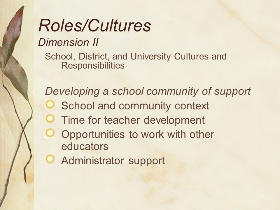Roles/Cultures Dimension II
